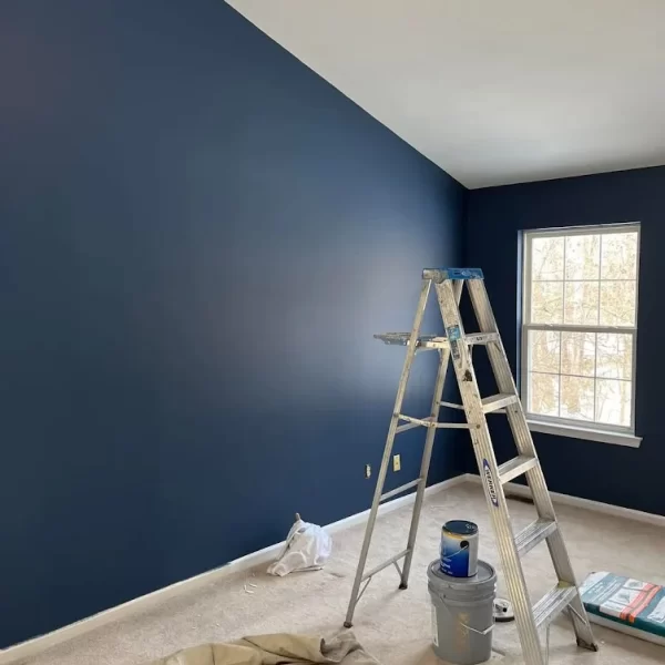 home painter santa ana